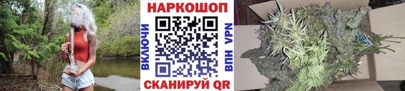 Купить наркотик аптеки Назрань Конопля мега зеркало Гашиш