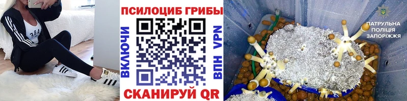 наркошоп  Назрань  Галлюциногенные грибы Magic Shrooms 