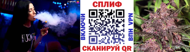 сколько стоит  Назрань  mega ссылка  Бошки Шишки ГИДРОПОН 